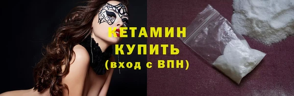 шишки Аркадак