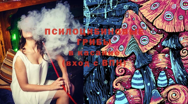 прущие грибы Арсеньев